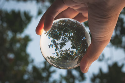 Close-up of hand holding crystal ball