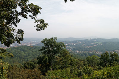 High angle view of trees on landscape against sky