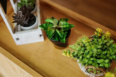 High angle view of chopped vegetables on table