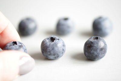 Close-up of blueberries