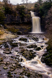 Scenic view of waterfall in forest