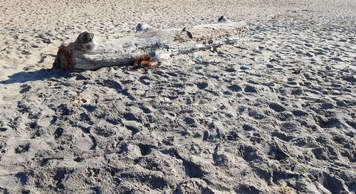 High angle view of lying on sand
