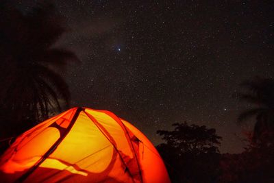 Low angle view of star field against sky at night