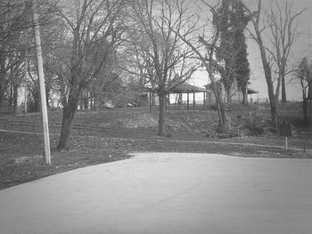 Bare trees in park