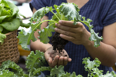 Midsection of woman holding plant