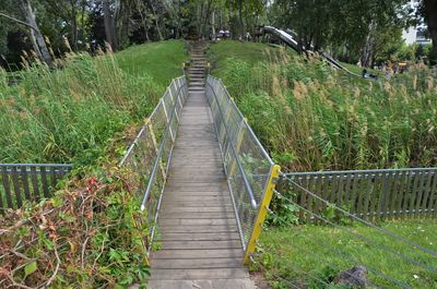 Wooden footbridge amidst trees