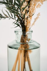 Close-up of a plant in oil against white background