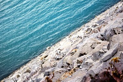 High angle view of sea