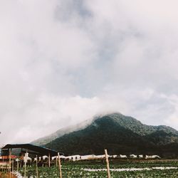 Landscape with mountain range in background