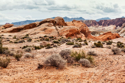 Rock formations in a desert