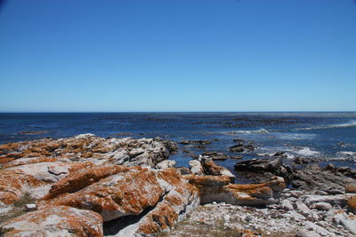 Scenic view of sea against clear sky