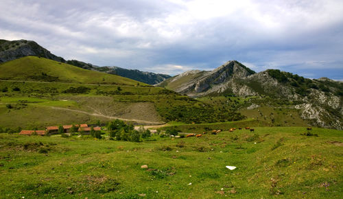 Scenic view of landscape against sky