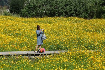 Rear view of woman on yellow flower field