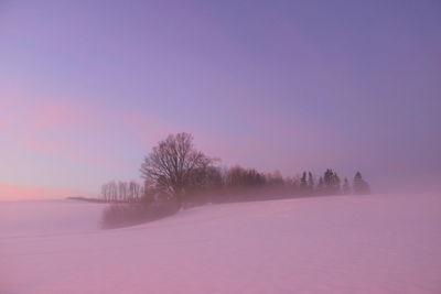 Scenic view of snow field against sky at sunset