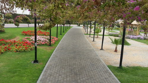 Footpath amidst trees in park