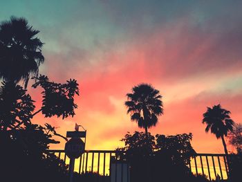 Low angle view of silhouette trees against sky during sunset