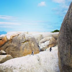 Panoramic view of rock formations against sky