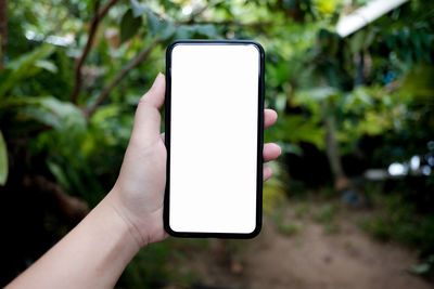 Close-up of hand holding smart phone