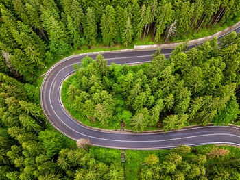 High angle view of winding road amidst trees in forest