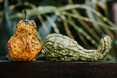 Close-up of fruit