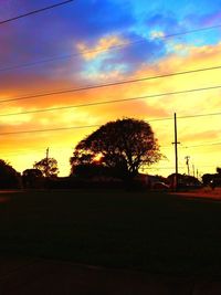 Silhouette of trees at sunset