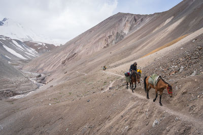 People walking on mountain