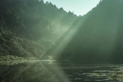 Sunlight streaming through trees in lake against sky