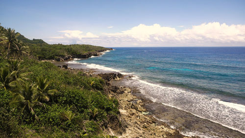 Rocky beach with palm trees, blue water on a tropical island. 