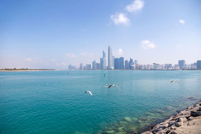 Abu dhabi cityscape during sunny day with seagulls flying around