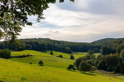 Scenic view of landscape against sky