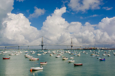 Boats in harbor