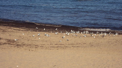 View of sea at beach