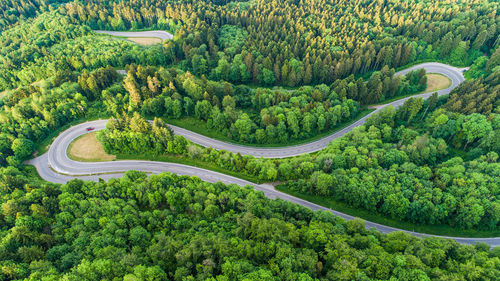 High angle view of road amidst trees in forest