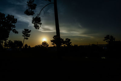 Silhouette trees against sky during sunset