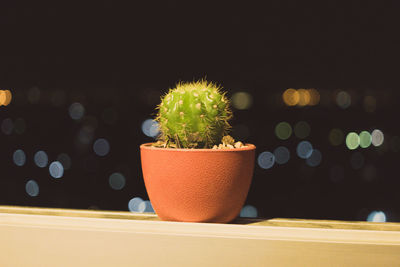 Close-up of potted plants on table