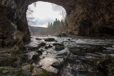 Scenic view of rock formation amidst trees