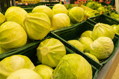 Cabbages on the table in traditional marketplace. soft focused shot of fresh cabbage in box in