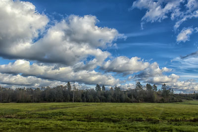 Scenic view of landscape against sky