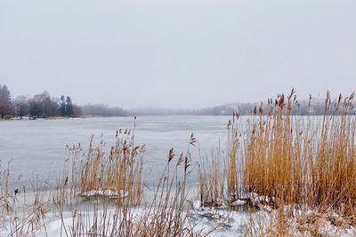 Scenic view of lake against clear sky during winter