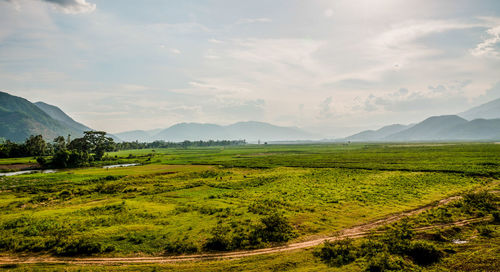 Scenic view of agricultural field against sky