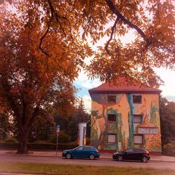 Cars parked by trees in city during autumn