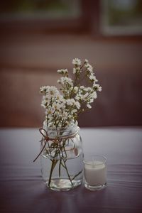 Close-up of white flowers in vase on table