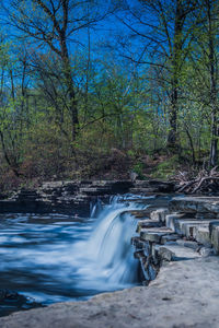 Scenic view of waterfall in forest