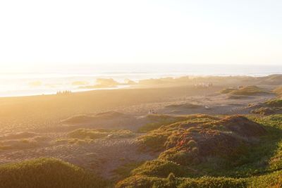 Scenic view of beach against clear sky