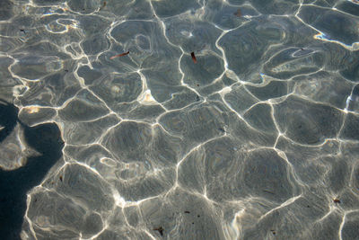 Full frame shot of water in swimming pool