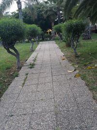 Footpath in park