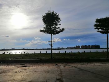 Trees on field against sky