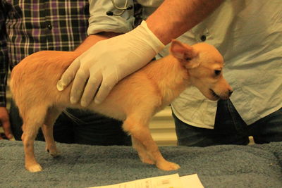 Close-up of young woman