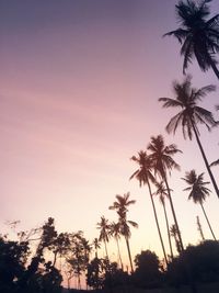 Low angle view of silhouette palm trees against sky during sunset