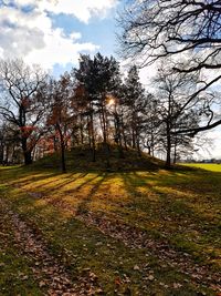 Trees on field against sky during autumn